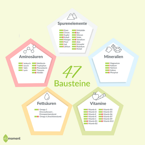Bausteine der Ernährung