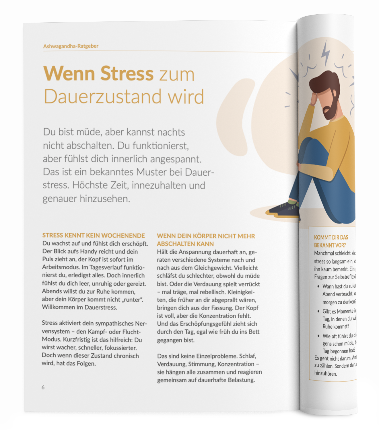 Ashwagandha-Ratgeber - VitaMoment Produkt
