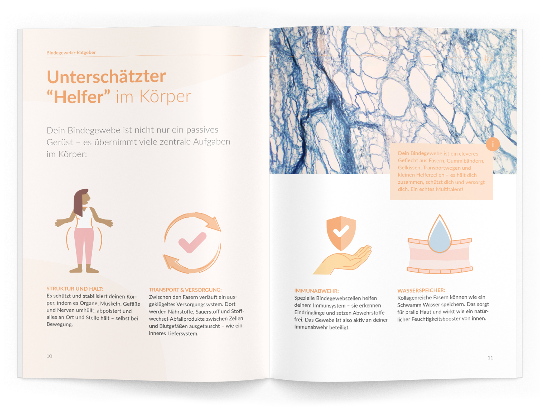 Bindegewebe-Ratgeber - VitaMoment Produkt