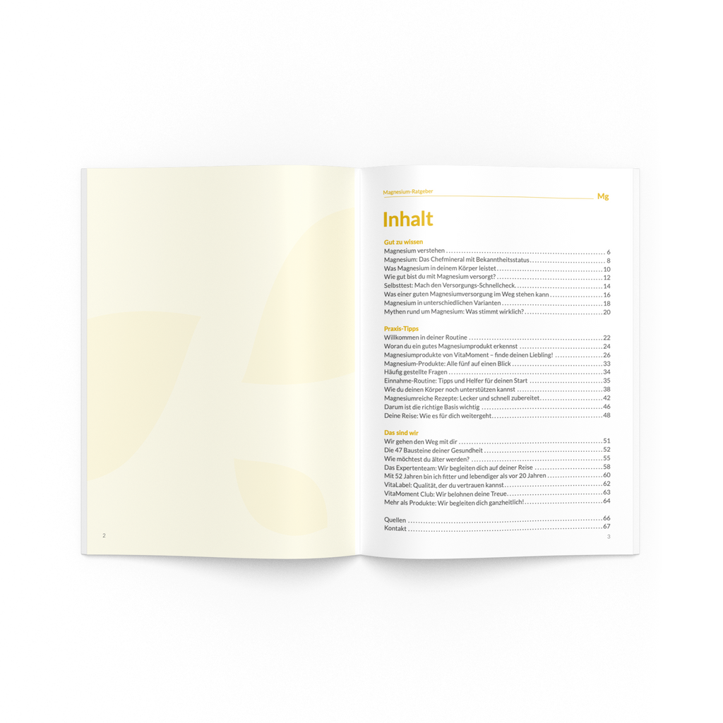 Magnesium-Ratgeber - VitaMoment Produkt
