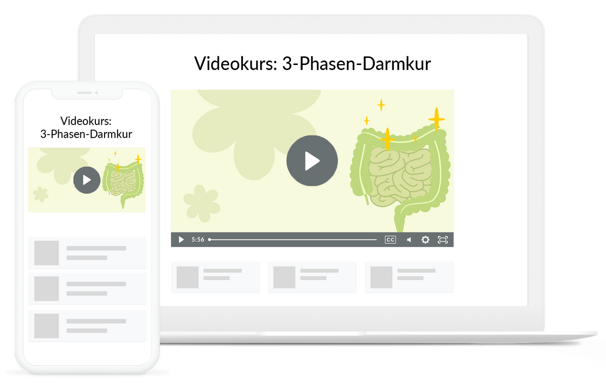Videokurs: 3-Phasen-Darmkur