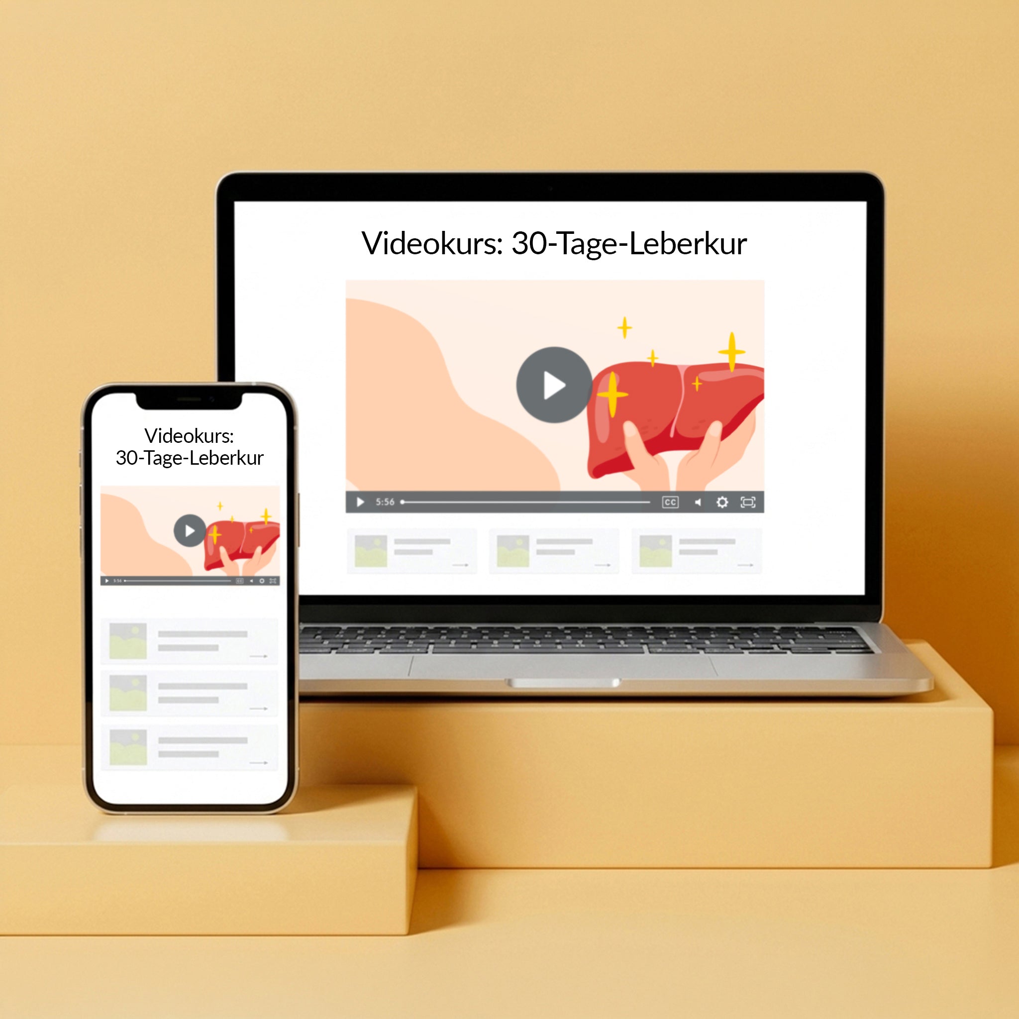 Videokurs: 30-Tage-Leberkur - VitaMoment Produkt