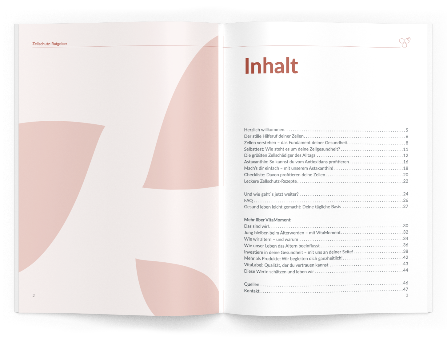 Zellschutz-Ratgeber - 1:Astaxanthin - VitaMoment Produkt