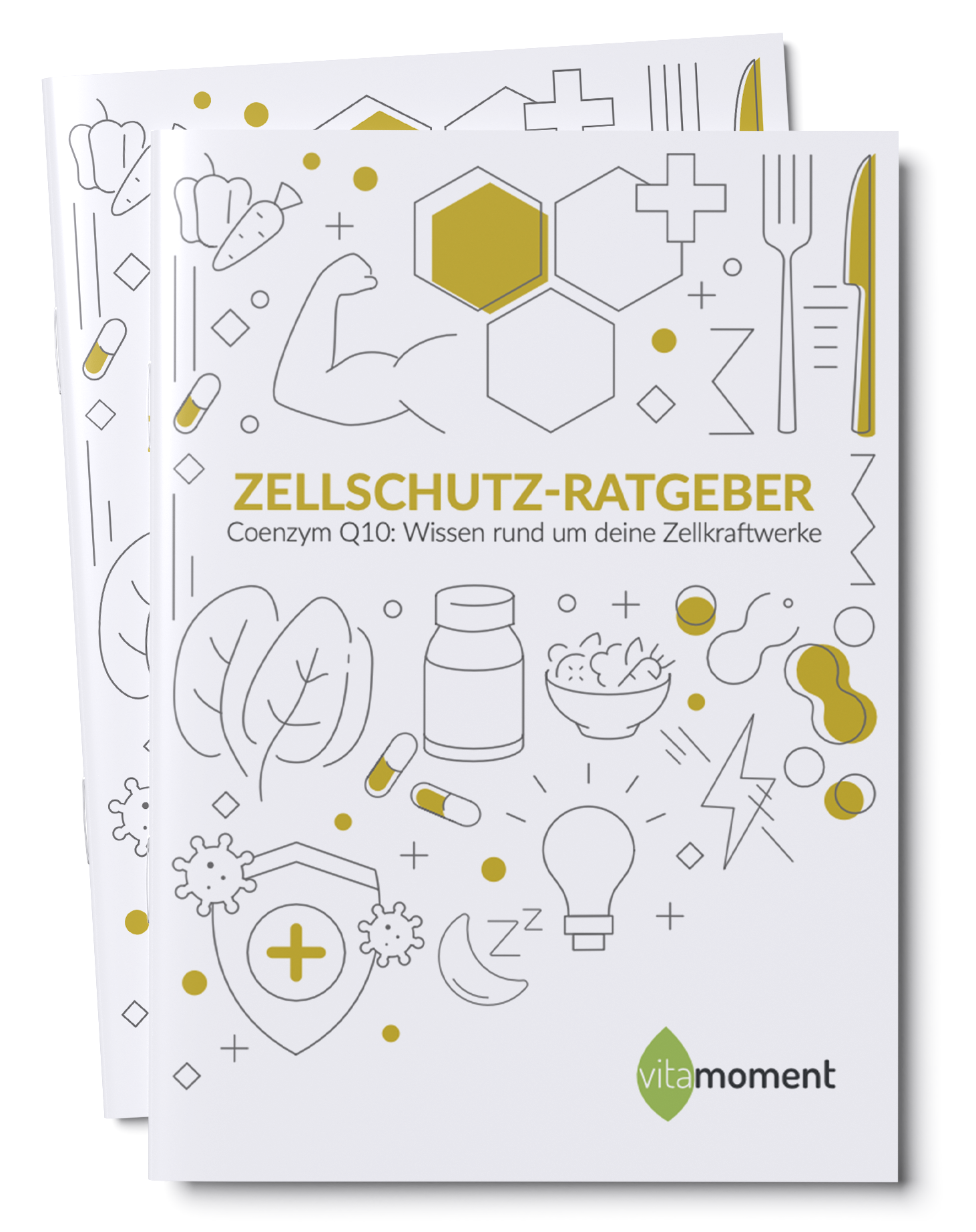 Zellschutz-Ratgeber - 1:Q10 - VitaMoment Produkt