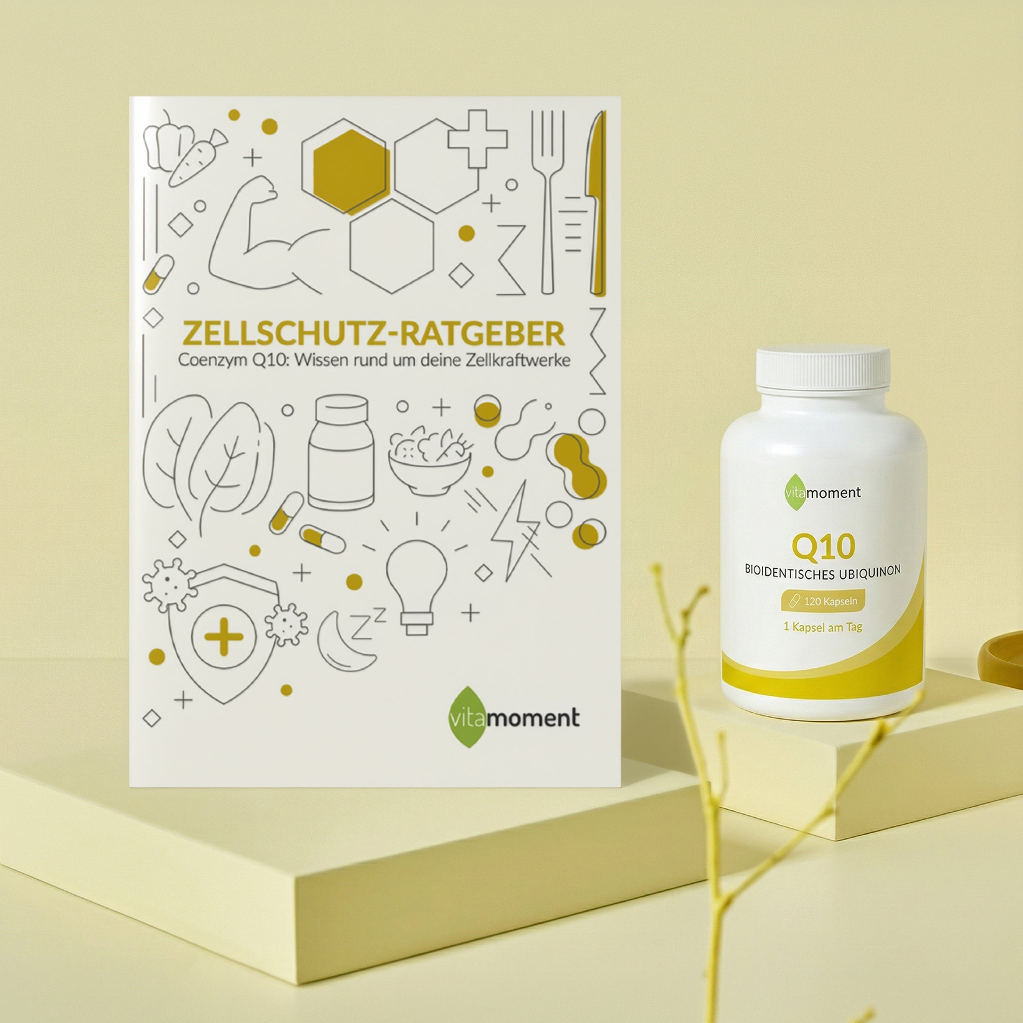 Zellschutz-Ratgeber - 1:Q10 - VitaMoment Produkt